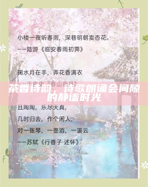 茶香诗韵，诗歌朗诵会间隙的静谧时光